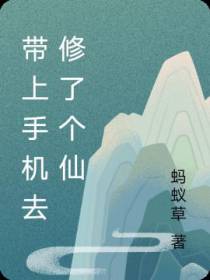 带上手机去修了个仙
