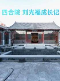 四合院,刘光福成长记