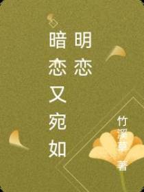 暗恋又宛如明恋