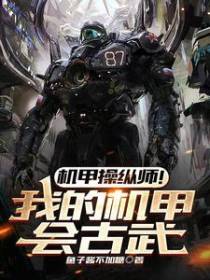 机甲操纵师！我的机甲会古武