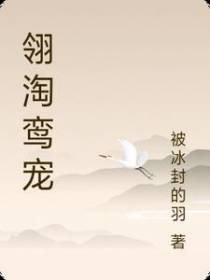 翎淘鸾宠