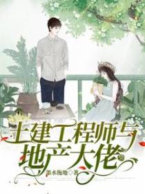 土建工程师与地产大佬