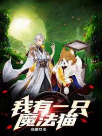 我有一只魔法猫