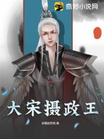 大宋摄政王