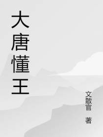 大唐懂王