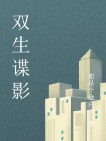 双生谍影
