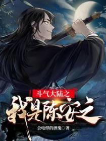 斗气大陆之我是陈安之