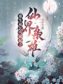 重生从乞丐做起之仙界枭雄