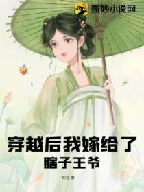 穿越后我嫁给了瞎子王爷