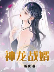 神龙战婿