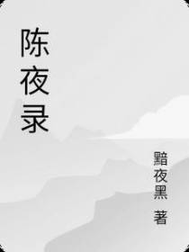 陈夜录