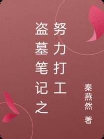 盗墓笔记之努力打工