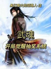 武魂：开局觉醒抽奖系统