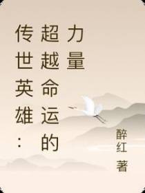 传世英雄：超越命运的力量