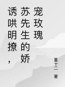 诱哄明撩,苏先生的娇宠玫瑰