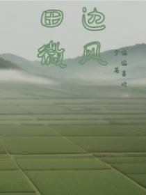 田边微风