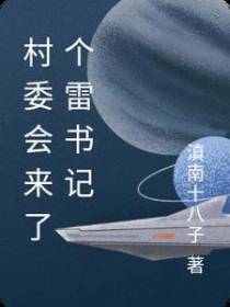 村委会来了个雷书记