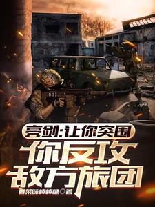 亮剑：让你突围,你反攻敌方旅团