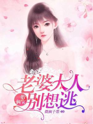 一胎俩宝,老婆大人别想逃