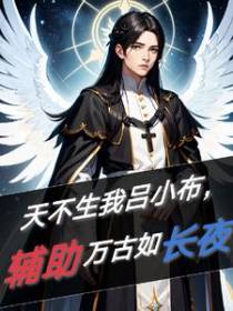 天不生我吕小布,辅助万古如长夜