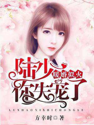 暖婚似火：陆少,你失宠了