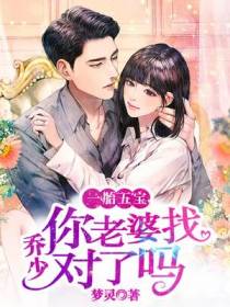 一胎五宝：乔少,你老婆找对了吗