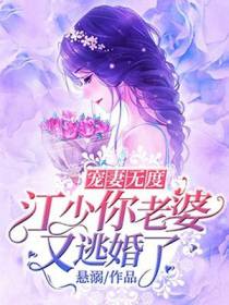 宠妻无度,江少你老婆又逃婚了