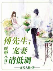 暖婚入骨：傅先生,宠妻请低调