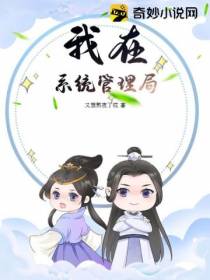 我在系统管理局
