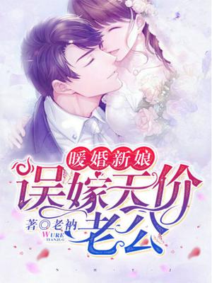 暖婚新娘,误嫁天价老公