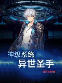 神级系统,异世圣手