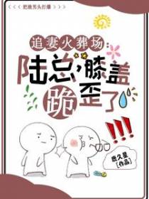 追妻火葬场：陆总,膝盖跪歪了