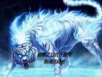 四象之白虎在都市