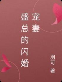 盛总的闪婚宠妻
