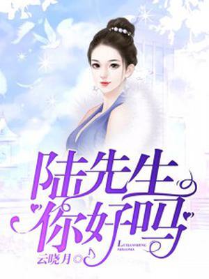 陆先生,你好吗？