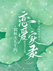我和沈先生的恋爱实录