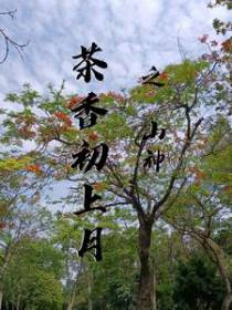 茶香初上月之山神