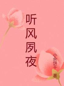 听风夙夜