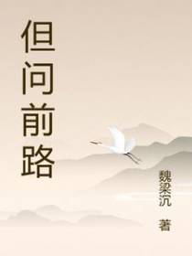但问前路