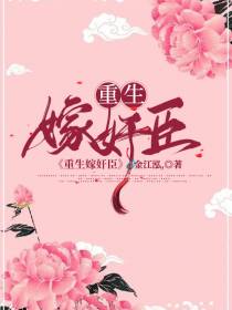 重生嫁奸臣