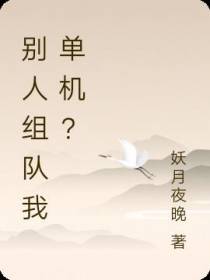 别人组队我单机？