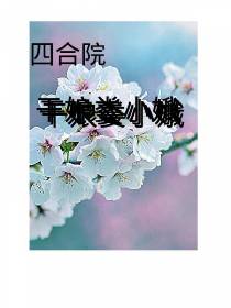 四合院：干娘娄小娥