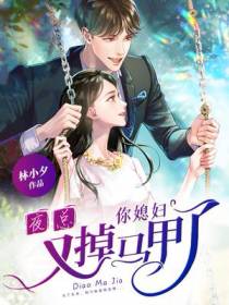 夜总,你媳妇又掉马甲了