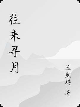 往来寻月