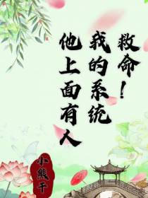 救命！我的系统他上面有人