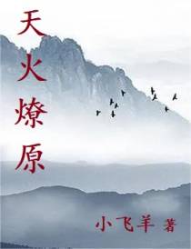 天火燎原