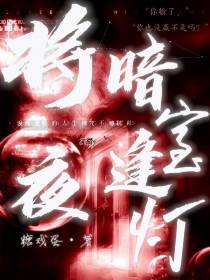 将夜暗室逢灯