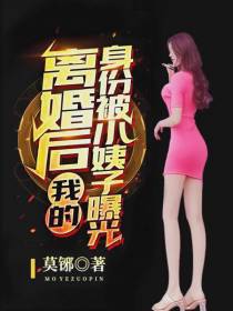 离婚后我的身份被小姨子曝光