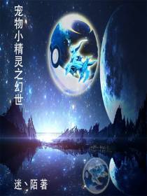 宠物小精灵之幻世