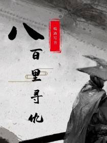 八百里寻仇